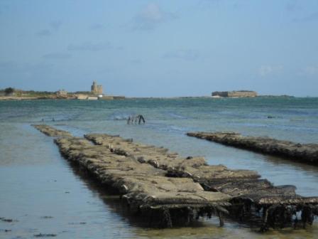 Manoir En Cotentin , Tamerville ภายนอก รูปภาพ
